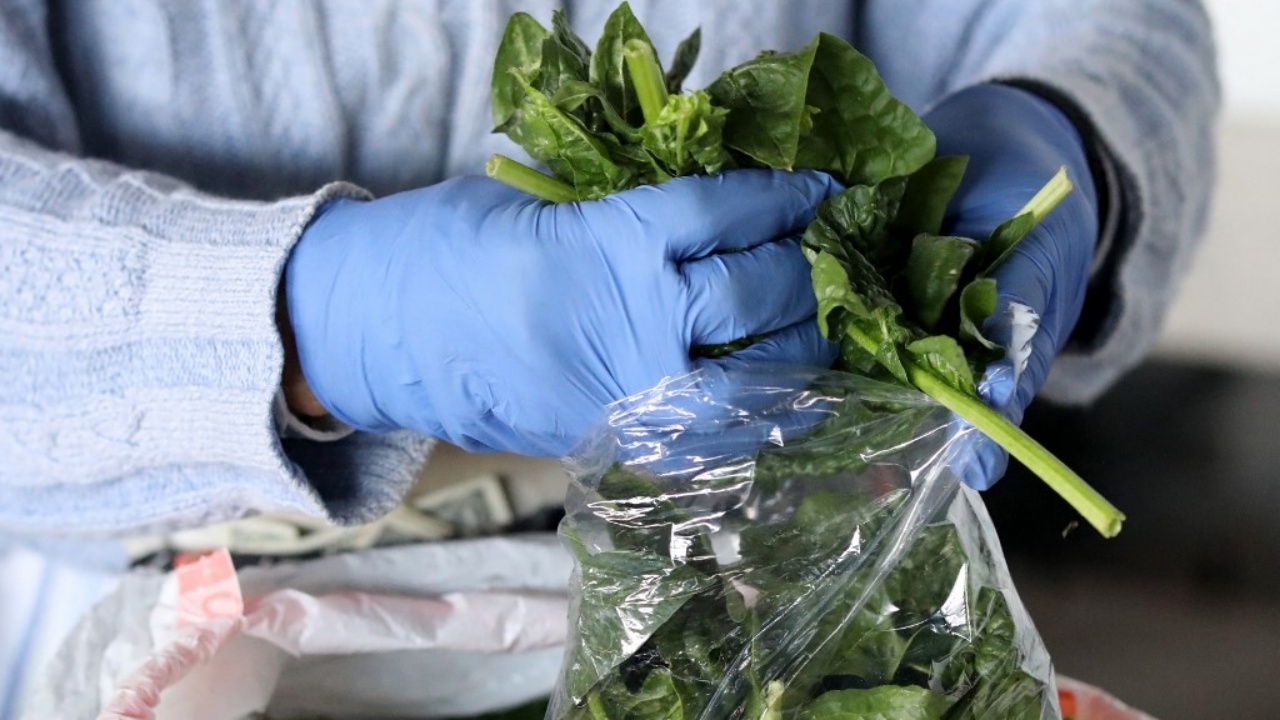 สธ.ออสซี่เตือนภัย ผักโขมปนเปื้อน หามส่งรพ. 9 ราย