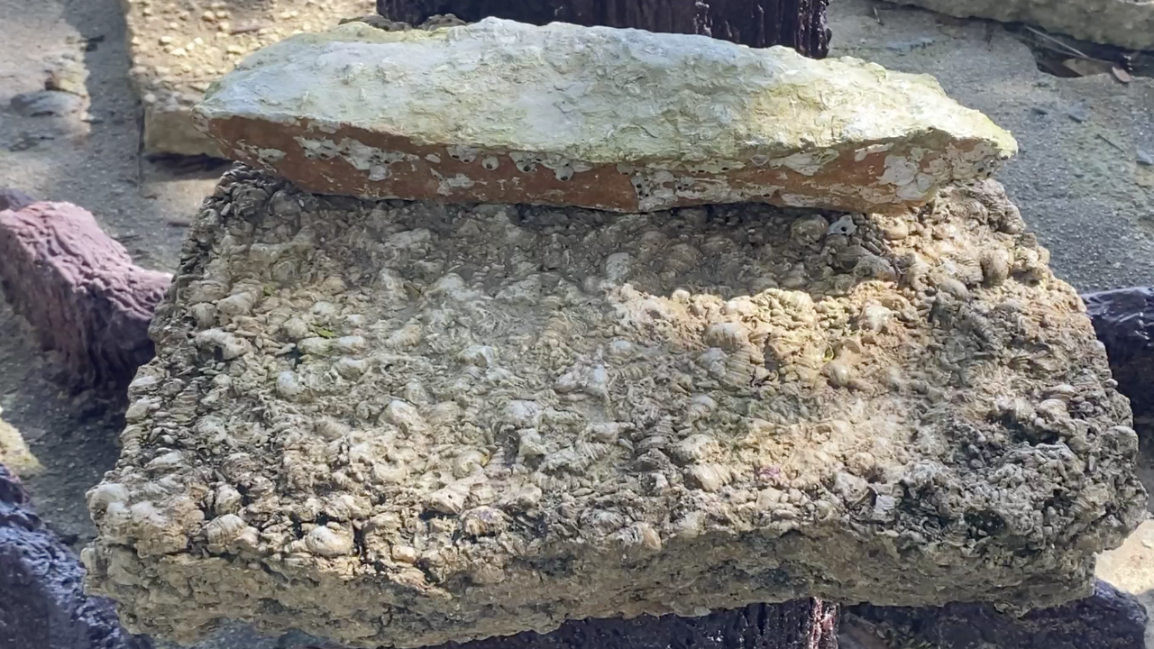 แม่ค้าโกรธ หนุ่มหยาม "สุสานหอย" ด้านอุทยานฯ ชี้เป็นแหล่งท่องเที่ยวระดับโลก