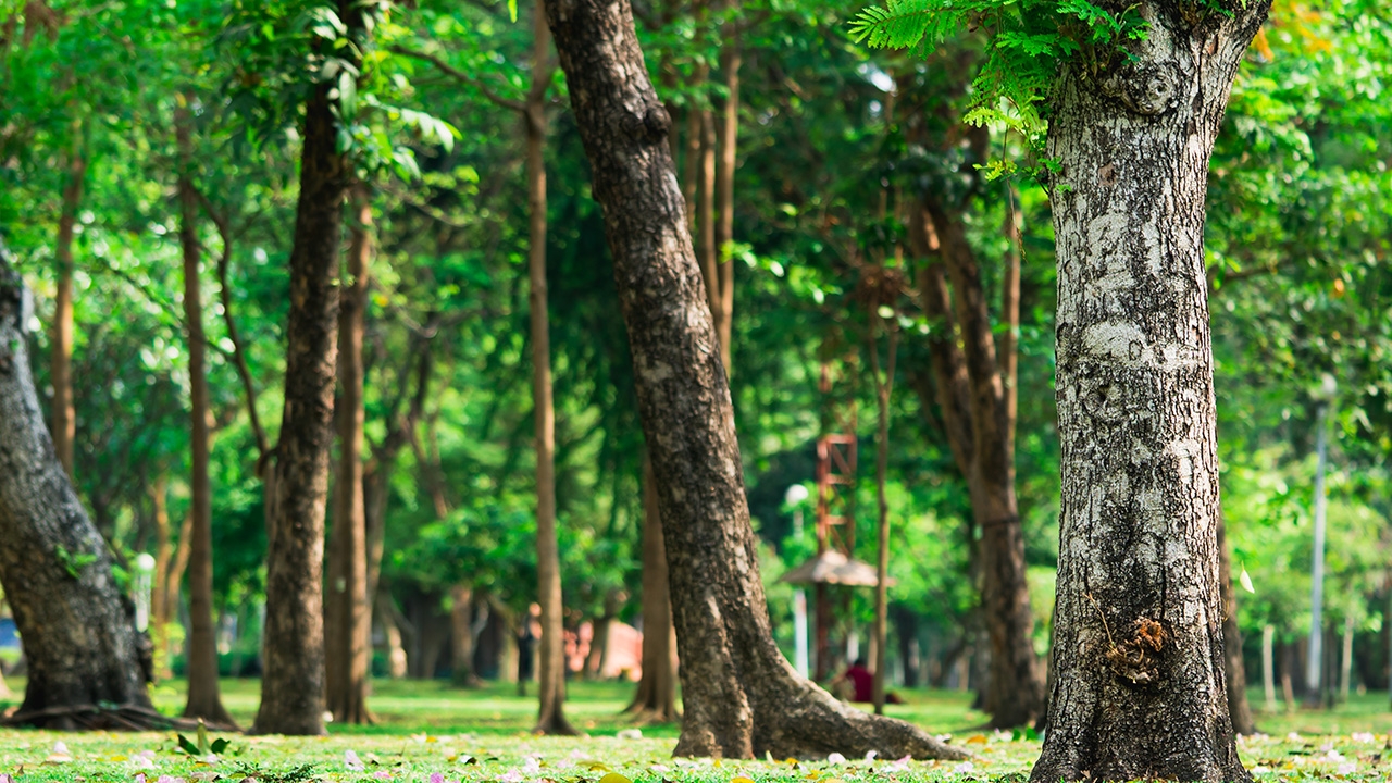 ย้อนอดีต “สวนนวมินทร์ฯ” “การต่อสู้” ที่คนไทย “หลงลืม”