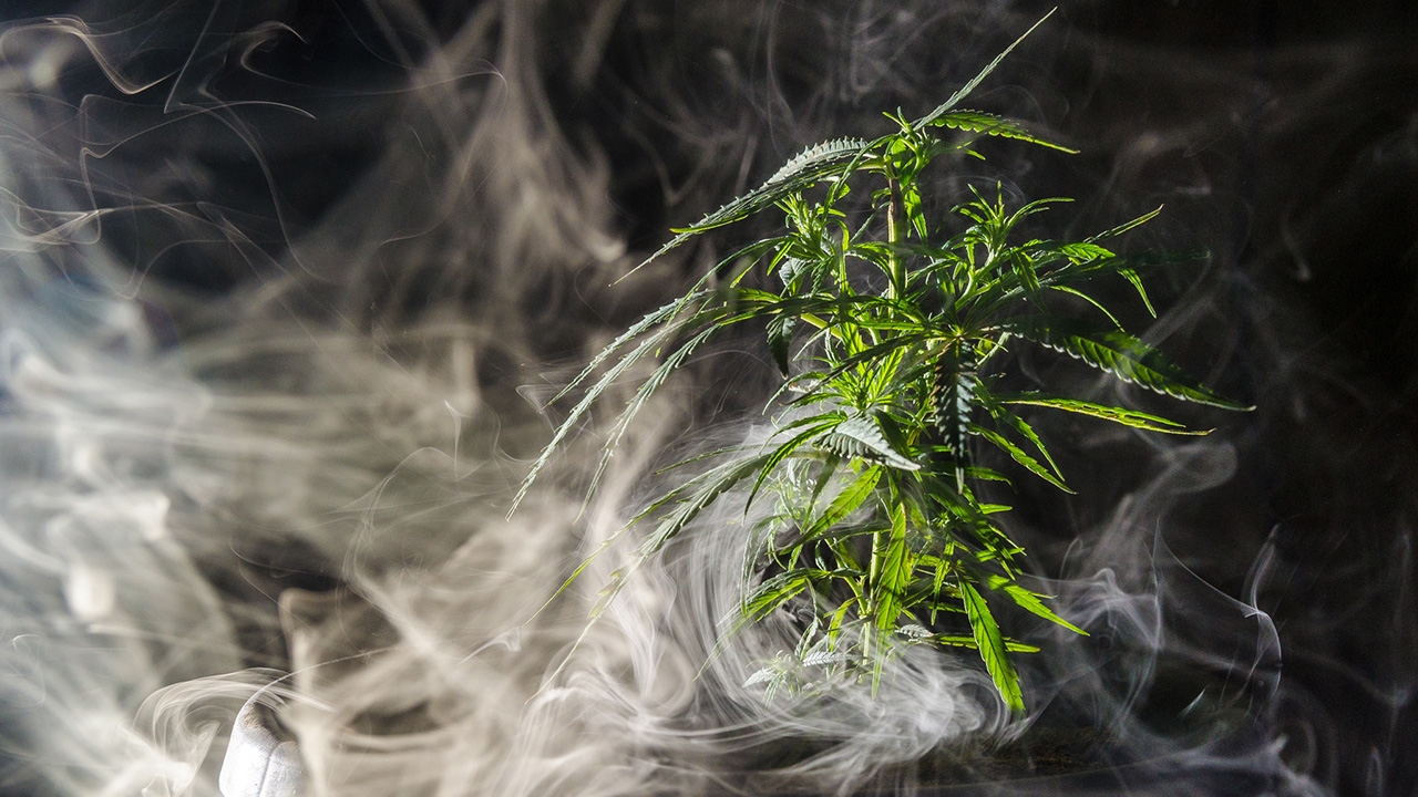 โรงสูบฝิ่นกับโรงพี้กัญชา