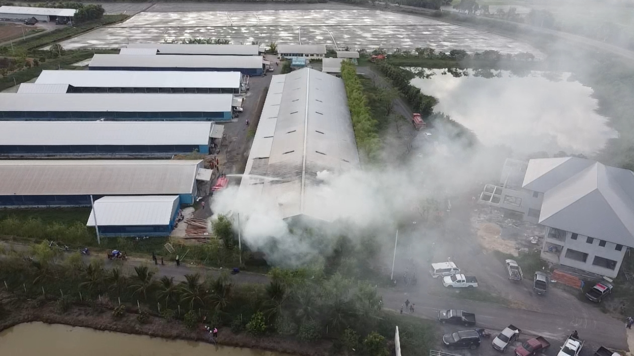 ระทึก ไฟไหม้ฟาร์มดัง เจ้าของควายเผือก ค่าตัว 70 ล้าน เผาโรงเรือนวอด