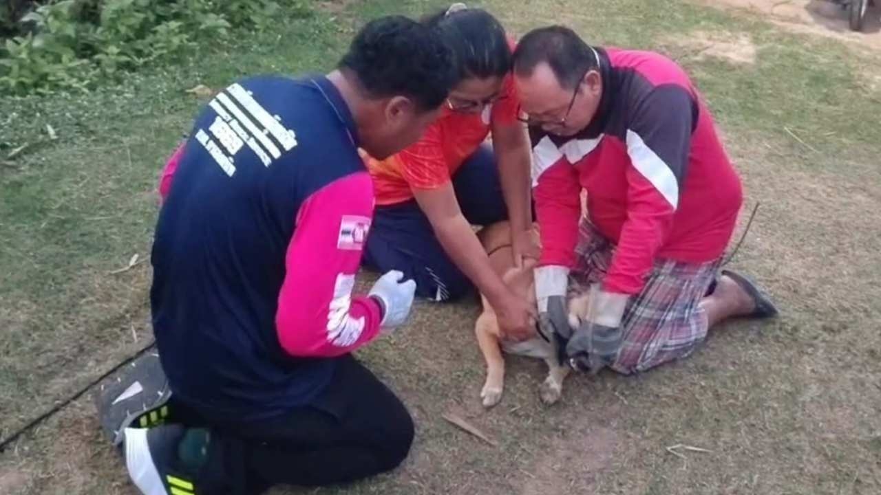 ชาวบ้านหนองสนิทปลื้ม กู้ชีพกู้ใจมาช่วยน้องหมาทุรนทุราย กระดูกติดเพดานปาก