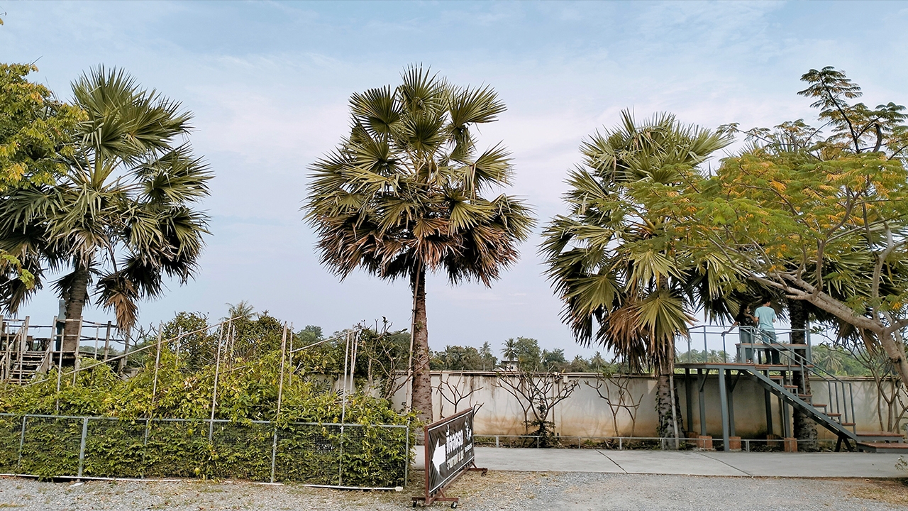 บ.บุ๋นคาเฟ่มือปราบหน้าหยก สืบสานตำนาน น้ำตาลเมืองเพชร