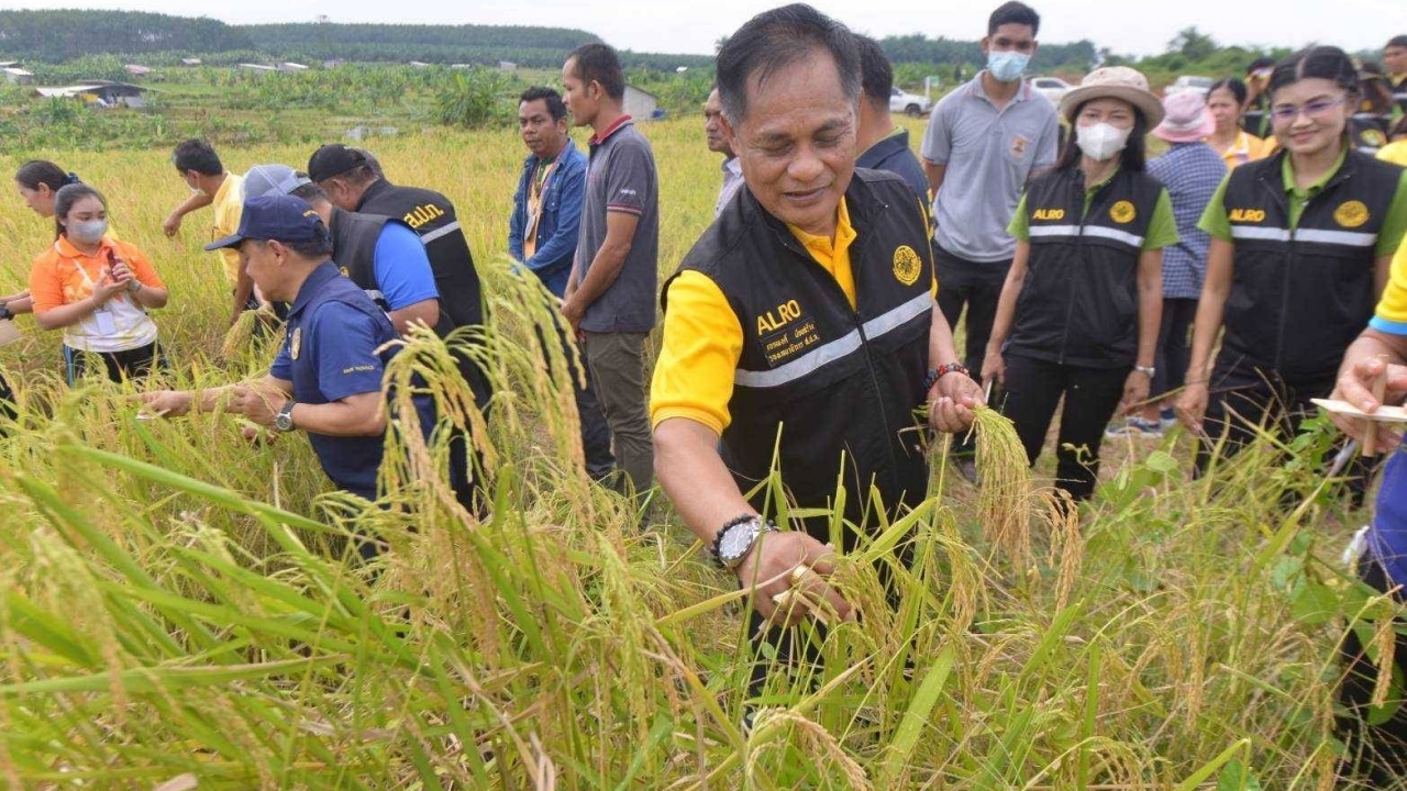 ส.ป.ก.นำเอกชนร่วมมอบเครื่องจักรกลการเกษตร ให้สหกรณ์เขาพนม 