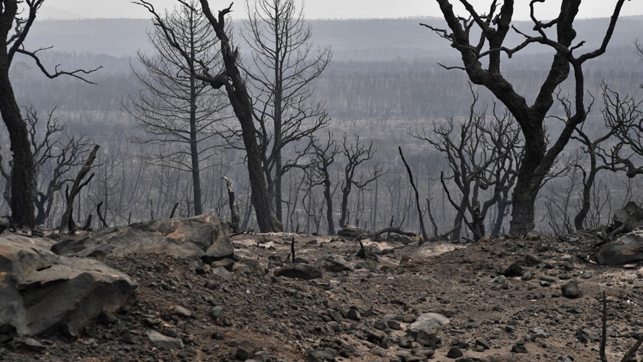 แอลจีเรียตัดสินประหาร 49 คน คดีตั้งศาลเตี้ยฆ่าโหดหนุ่มจิตอาสา