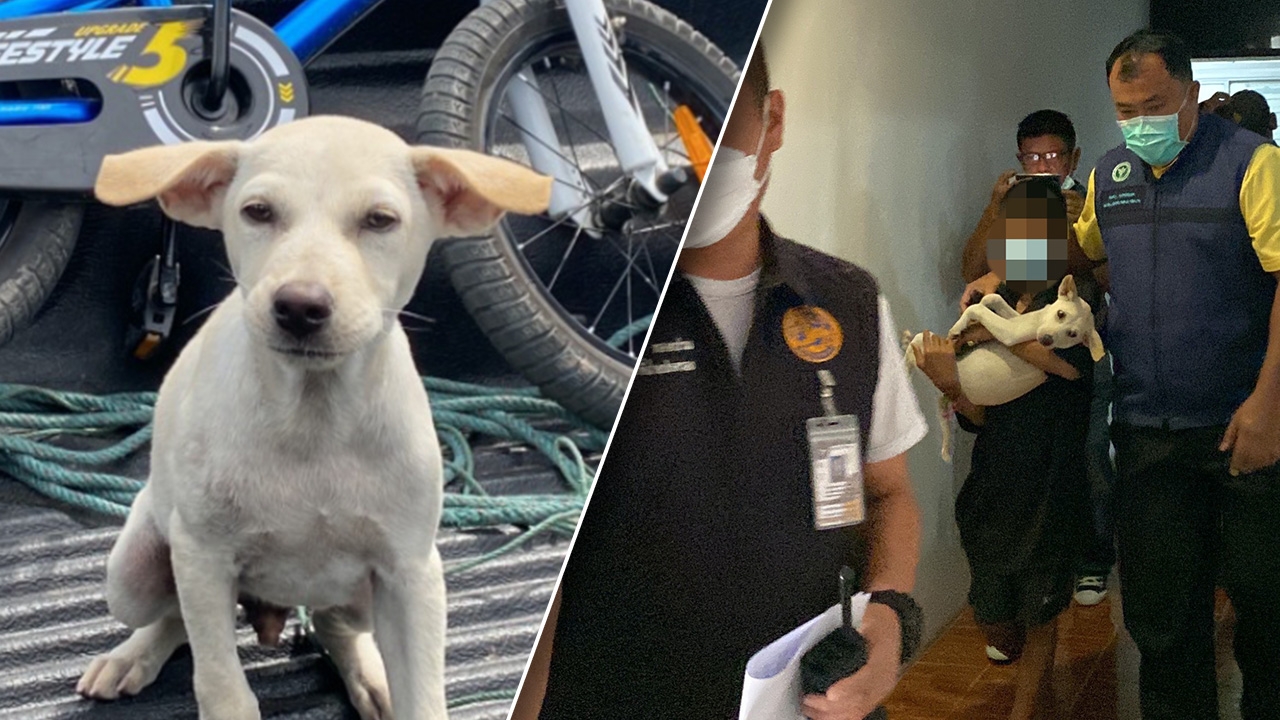 สอบ "เด็กนั่งดูดบ้อง" พบหนีออกจากบ้าน ไม่มีพ่อแม่ อยู่กับสุนัขคู่ใจ 