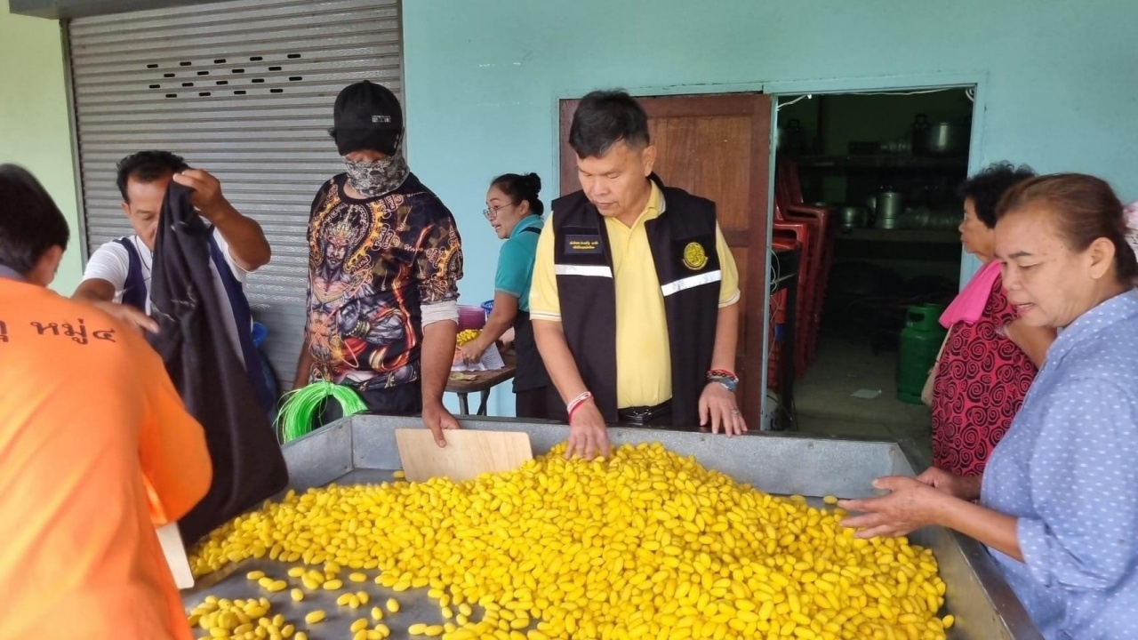 กรมหม่อนไหมขับเคลื่อนนโยบายปี 67 มุ่งยกระดับรายได้ เพิ่มเกษตรกรทะลุ 2,900 ราย