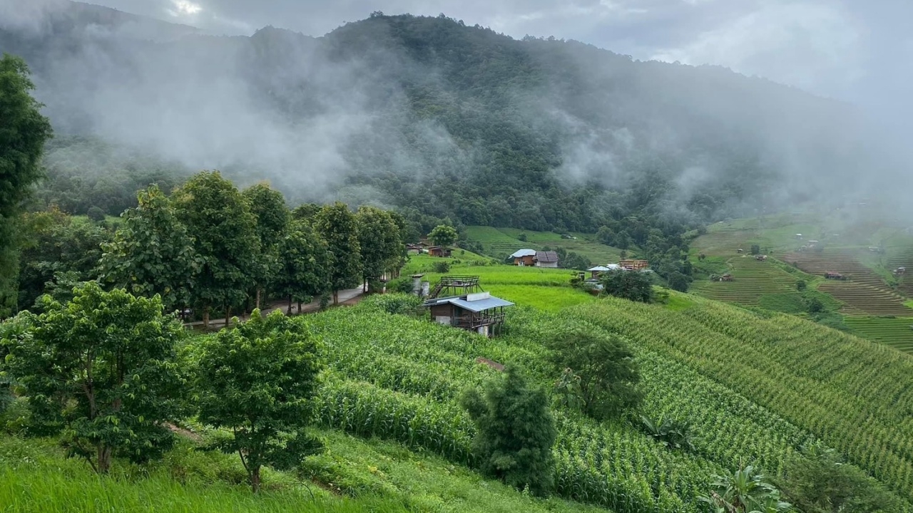 เที่ยวหน้าฝนขึ้นดอยสัมผัสสายหมอก กับวิวนาขั้นบันไดสวยที่สุด ที่บ้านป่าบงเปียง 