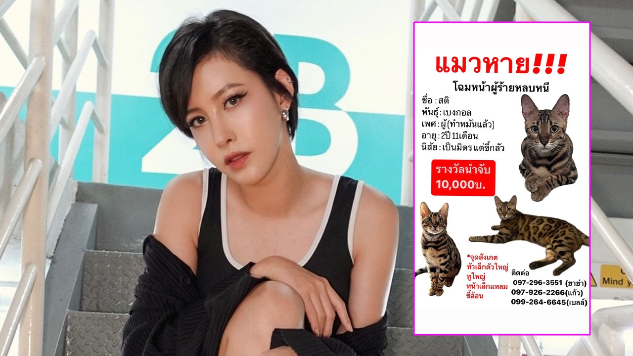 เฌอเบลล์ ตามหาแมวหาย ตั้งรางวัล 1 หมื่นบาท ลั่นอย่าหาพูดว่าถูกกินไปแล้ว