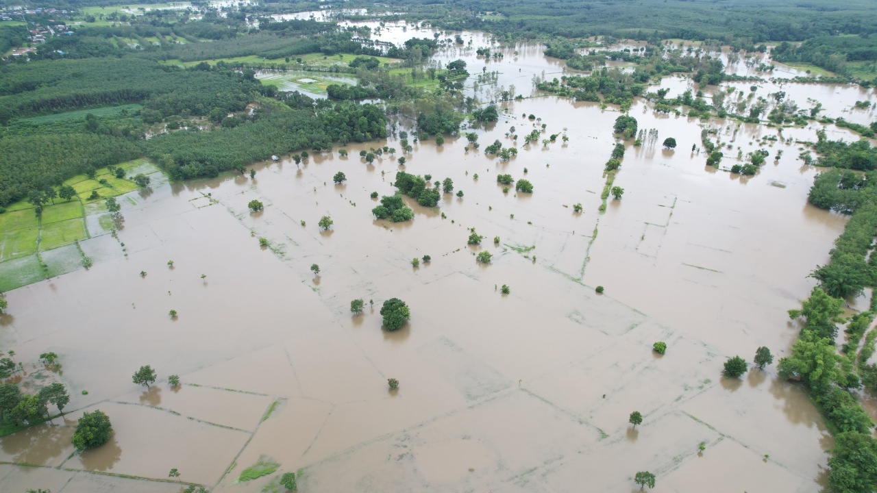 ฝนถล่มบึงกาฬ น้ำท่วมพื้นที่การเกษตร ขยายวงกว้าง คลุม 3 ตำบล นับพันไร่