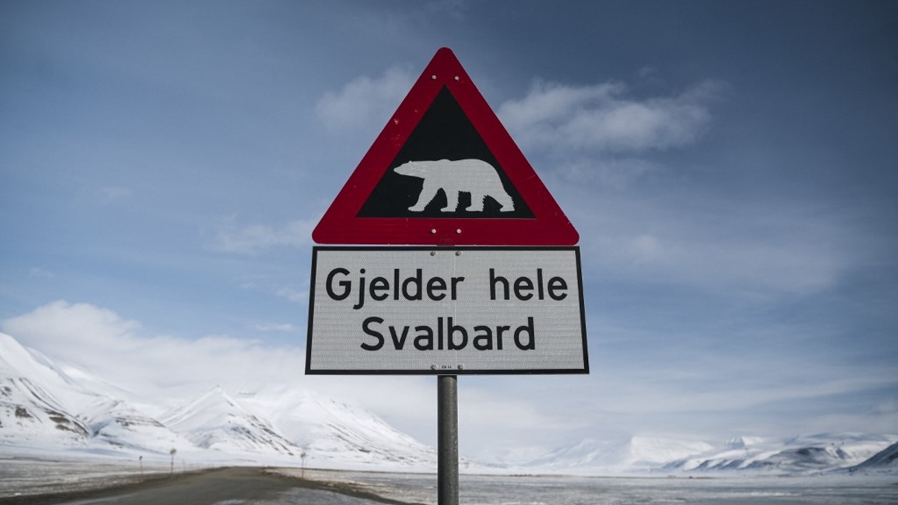 ช็อก หมีขาว 2 ตัวโจมตี จนท.ศูนย์เรดาร์ในอาร์กติกแคนาดา ดับสลด