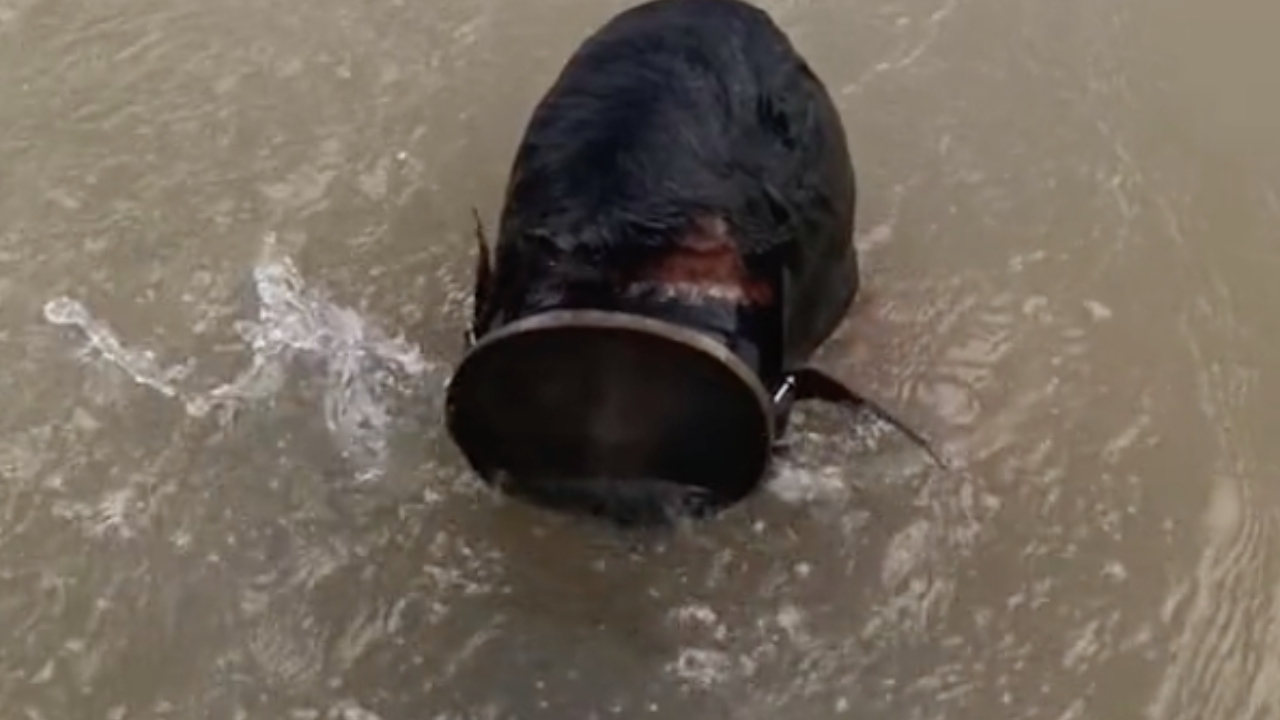 หลอน นักล่าสมบัติใต้น้ำ งมเจอหัวกะโหลกสีดำ คาดอายุเก่าแก่กว่าร้อยปี