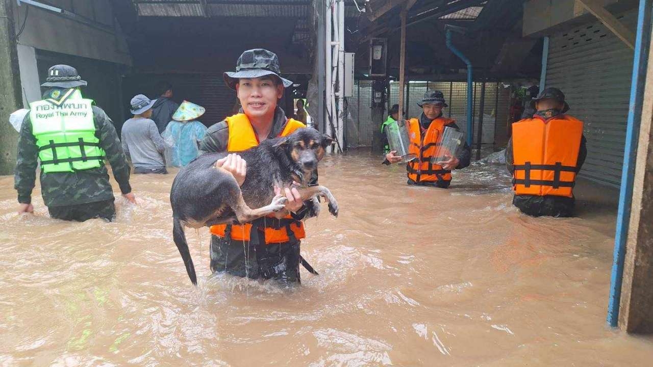 ฝนถล่ม 4 วัน ชายแดนไทย-เมียนมา อ่วมหนัก น้ำเมยล้นตลิ่ง 1.5 เมตร