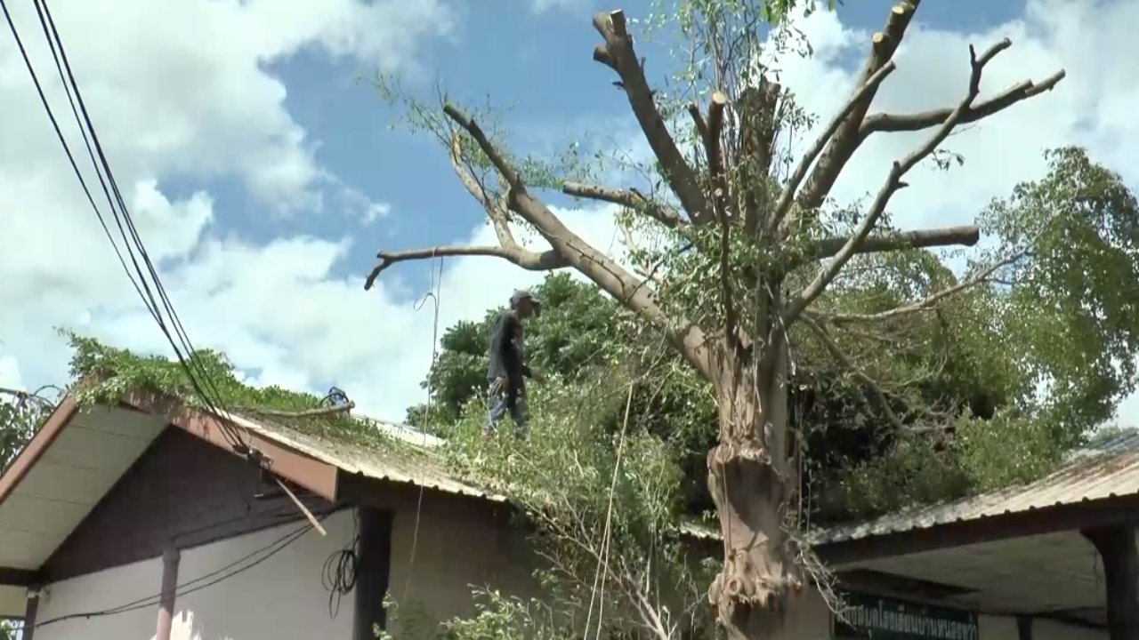 ปิด ร.ร. ต่อเนื่องวันที่ 2 ตัดต้นไม้ เคลียร์พื้นที่ ซ่อมแซมอาคาร หลังพายุถล่ม