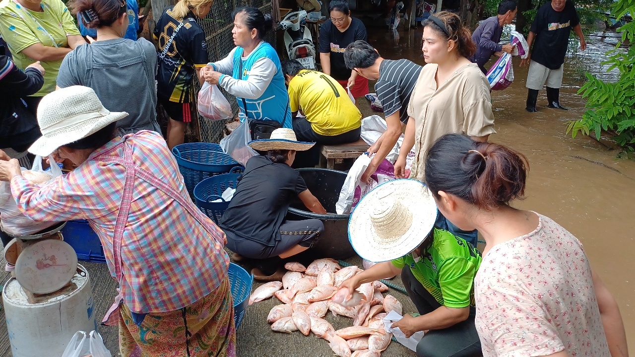 Fish farm owner sells at a loss as Ping River rises dramatically