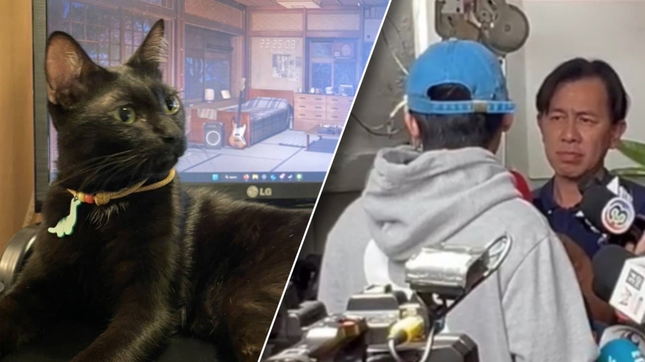 Car owner’s partner claims ignorance of suspects; cat back to normal