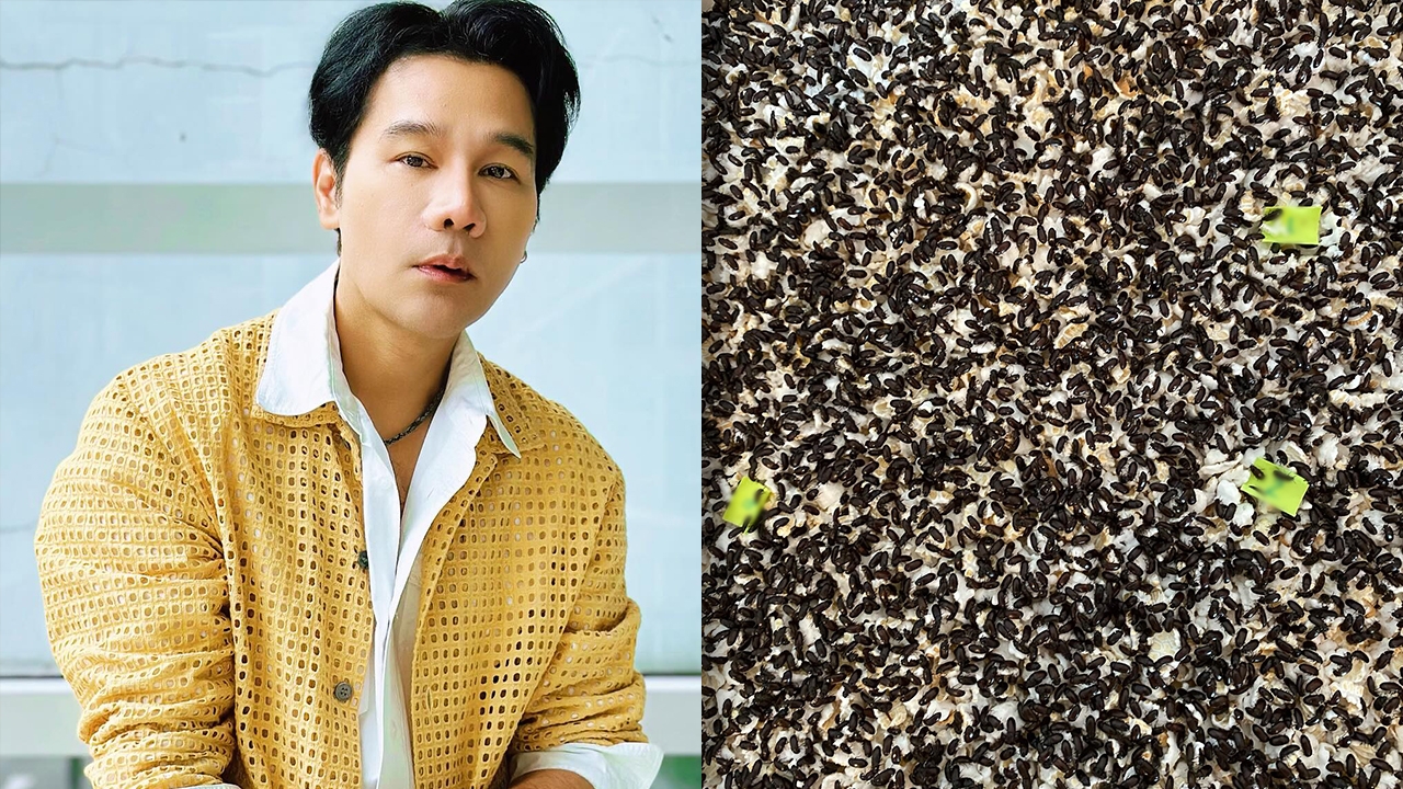 กอล์ฟ เบญจพล เปิดเลขเด็ดพี่กระดิ่งงวด 16 ก.ย. 67 เห็นเลข 3 ตัวชัดๆ