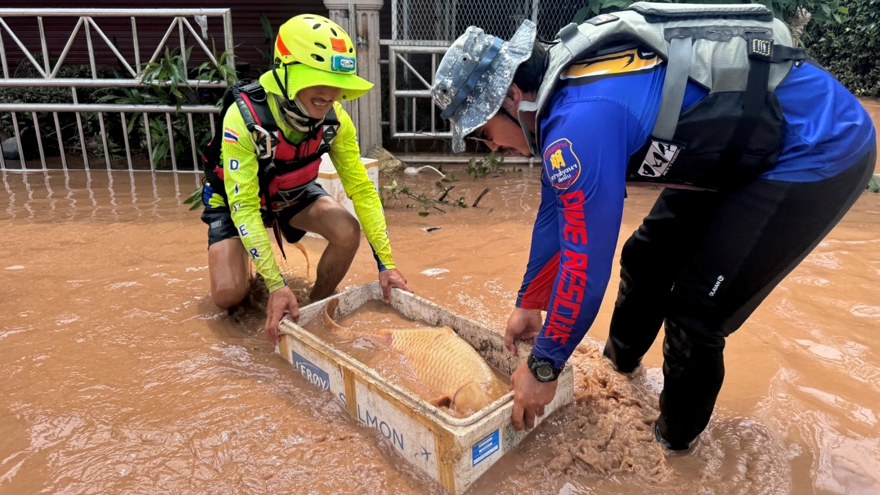 สำคัญทุกชีวิต กู้ภัยพายเรืออพยพคน-ส่งอาหาร พร้อมช่วย "ปลาคาร์ฟ" ลอยติดน้ำตื้น
