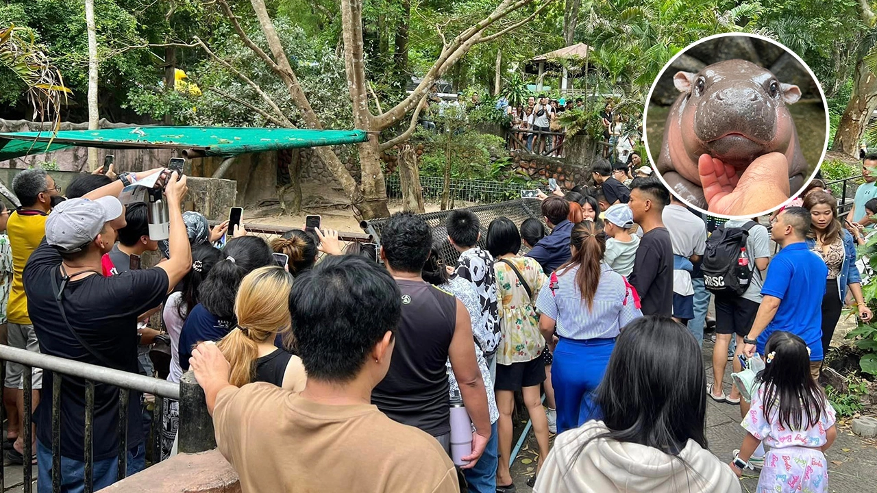 .ปุ๊กปิ๊กไม่มีใครเกิน 