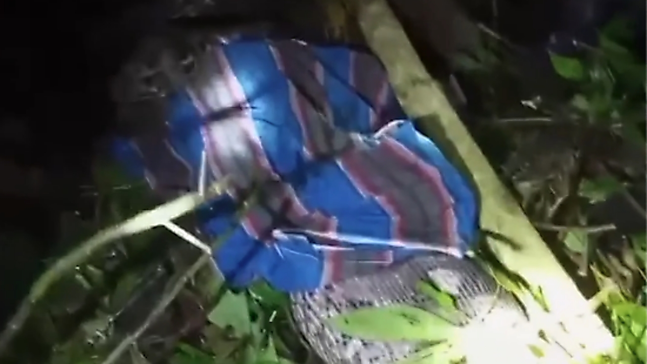 สุดสยอง พบงูเหลือมยาวกว่า 7 เมตร เขมือบคนทั้งตัวในอินโดนีเซีย