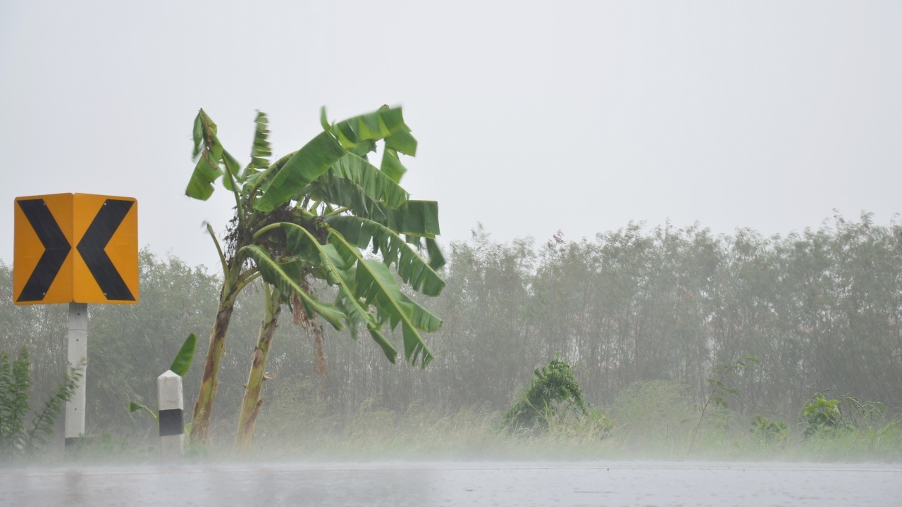 เตือน 8 จังหวัดใต้ ฝนตกหนักเสี่ยงน้ำท่วมฉับพลัน