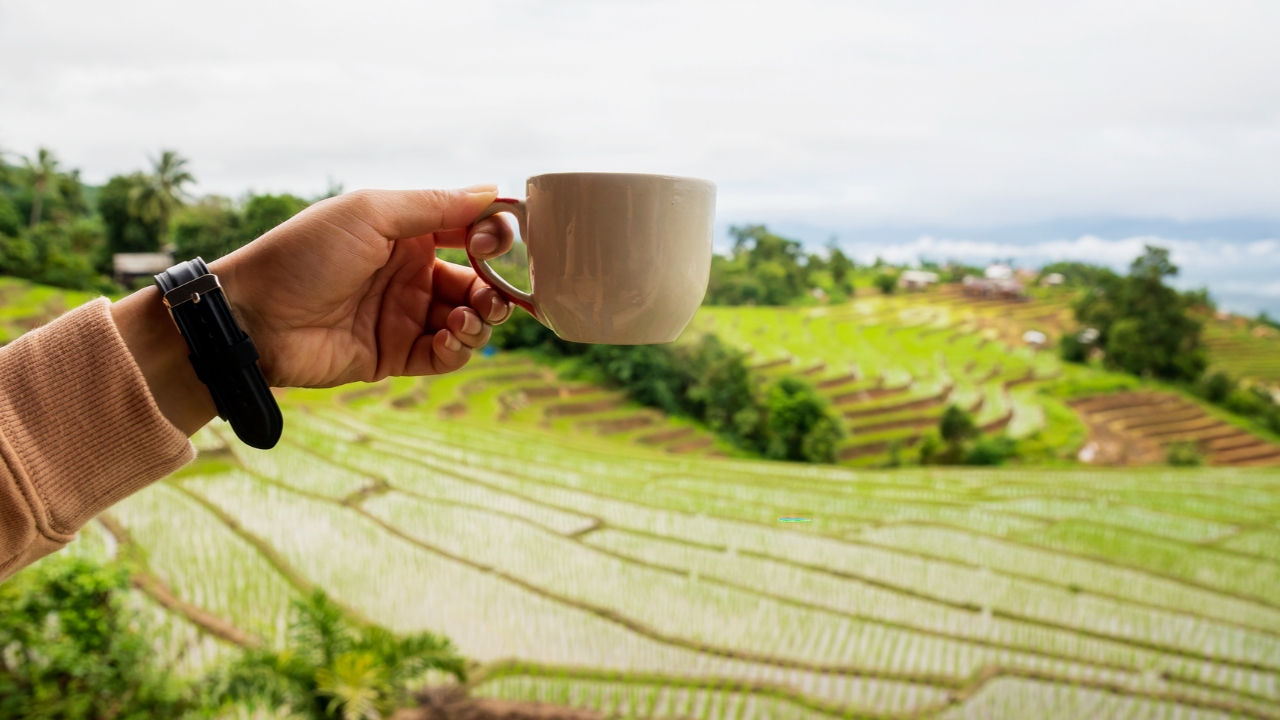 พาเปิดโลกกาแฟและข้าวไทยในมุมใหม่ Thailand Coffee Fest 2024 และ Thailand Rice Fest 2024