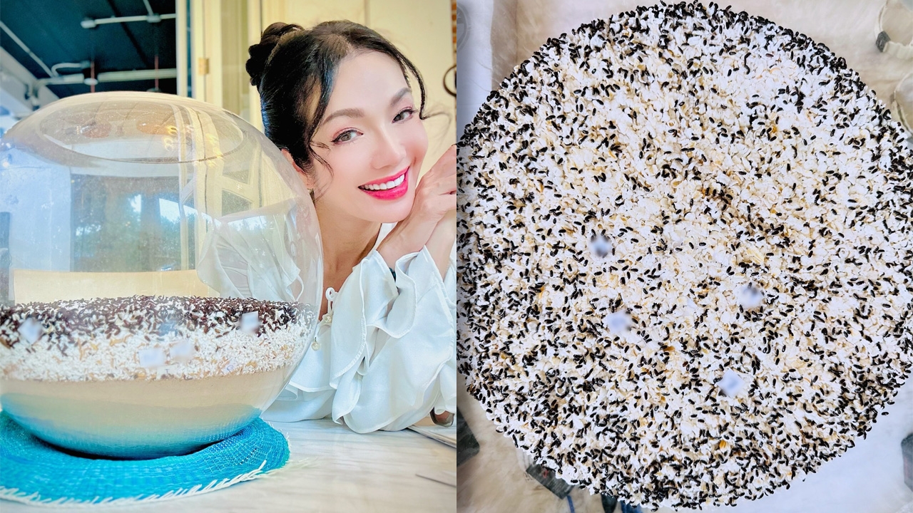 อ๋อม สกาวใจ มาแล้ว! เปิดเลขเด็ดจากน้องกระดิ่ง งวด 16 พ.ย. 2567