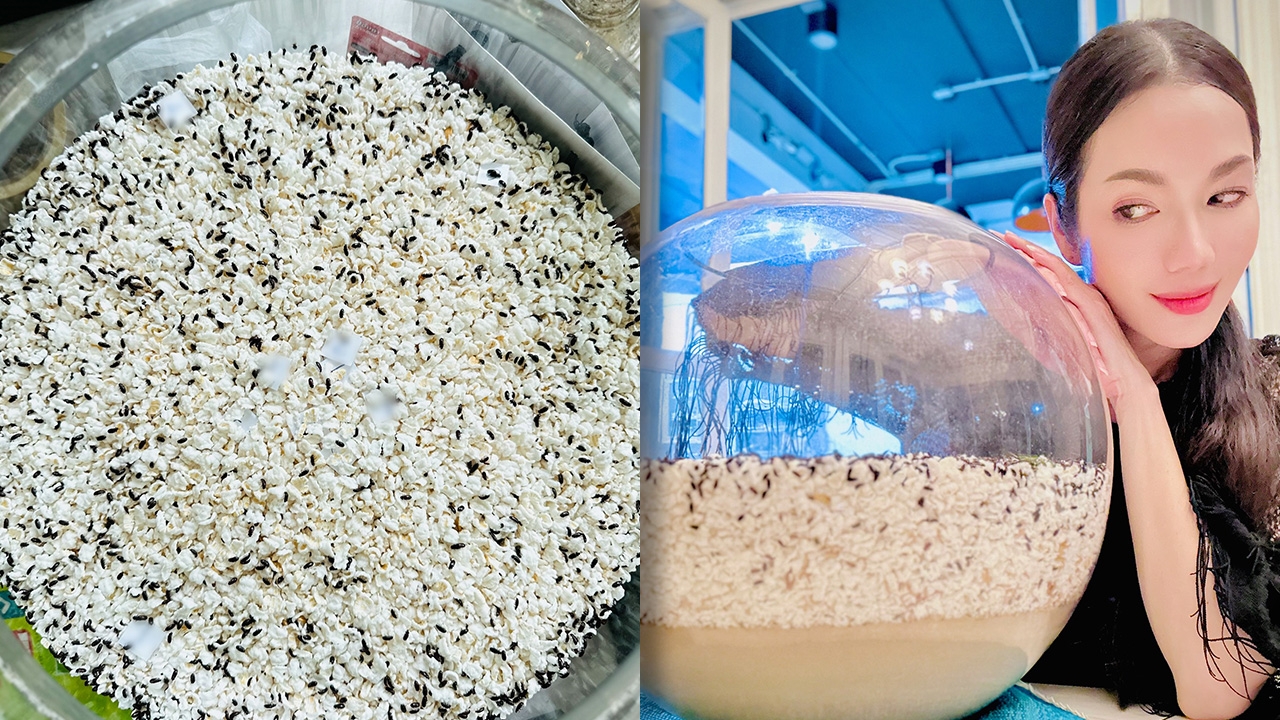 คอหวยส่องรัวๆ อ๋อม สกาวใจ แจกเลขเด็ดน้องกระดิ่ง งวด 1 พ.ย. 2567