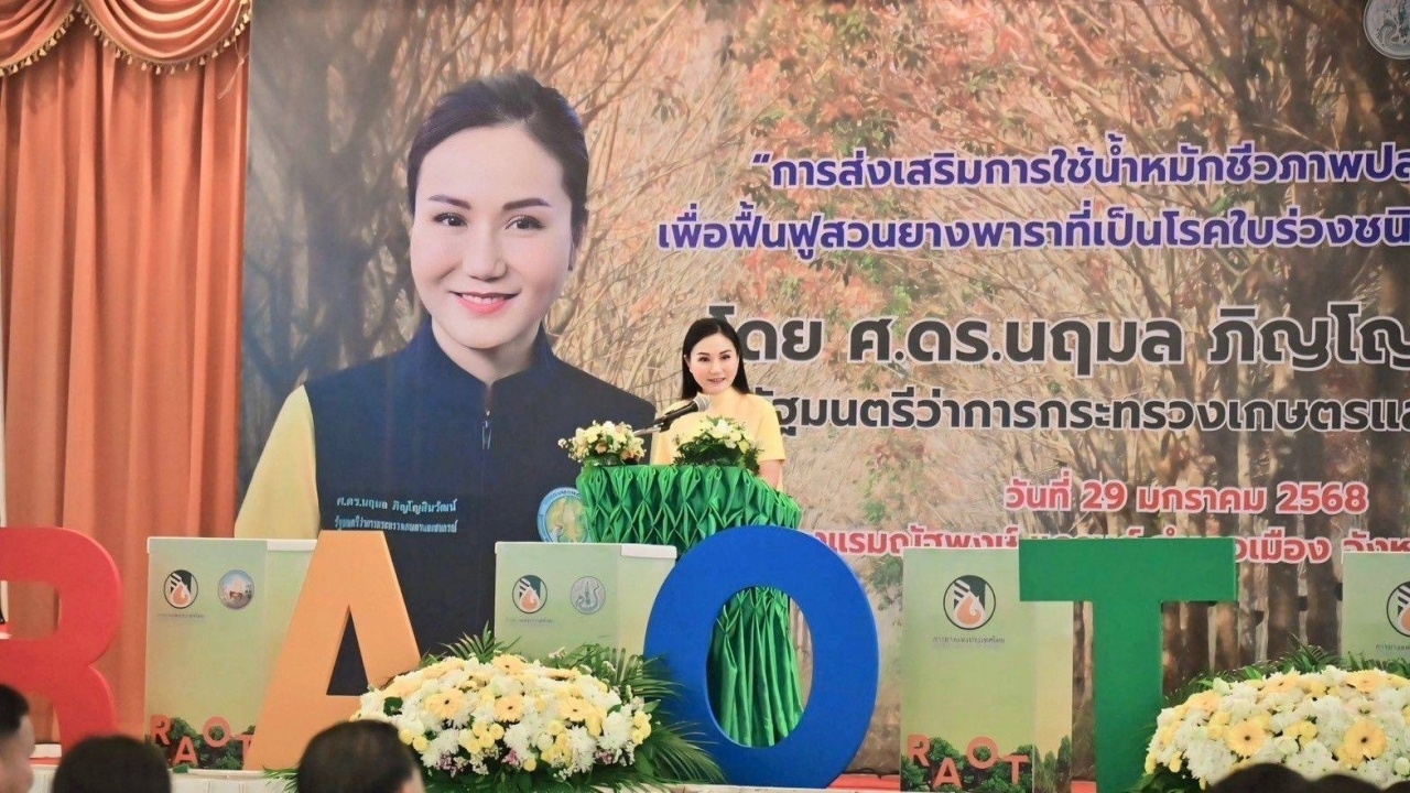 กระทรวงเกษตรฯ หนุนใช้น้ำหมักชีวภาพปลาหมอคางดำ สู้ศึกโรคใบร่วงในยางพารา