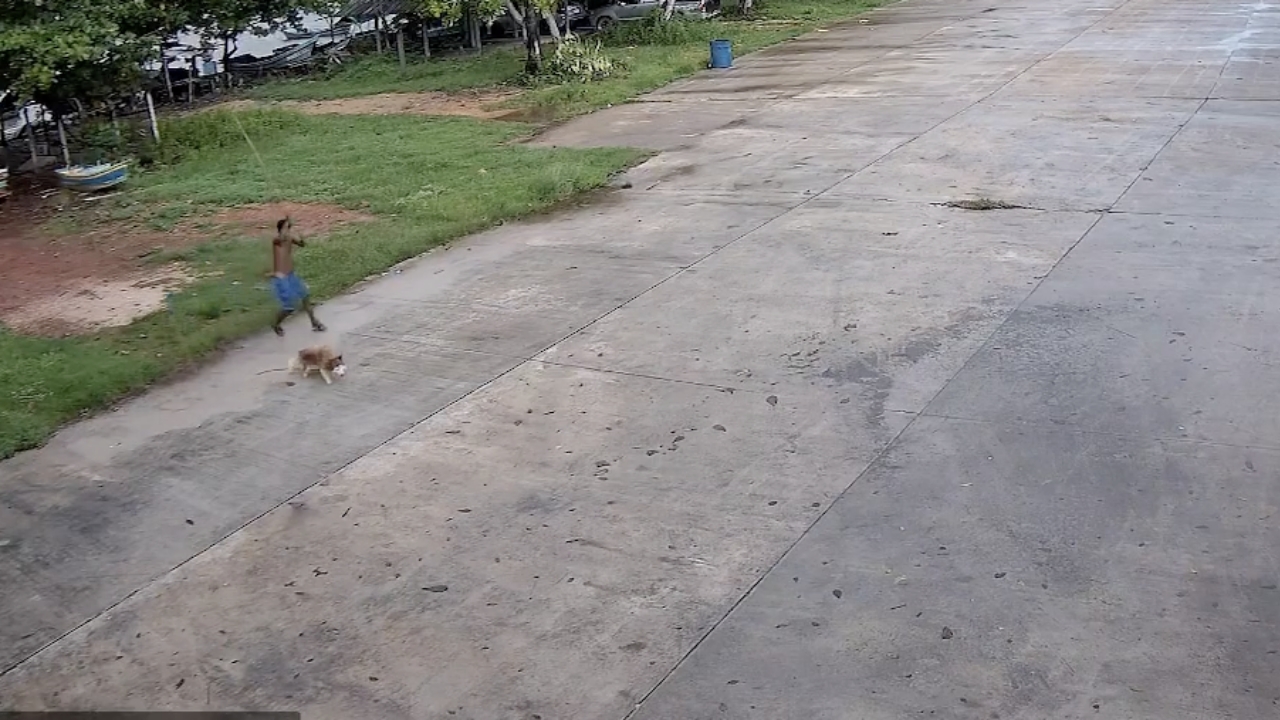 ศาลตัดสินจำคุก 2 เดือน มือตี "สุนัขไซบีเรียน" ดับ คนเลี้ยงจ่อยื่นอุทธรณ์สู้ต่อ