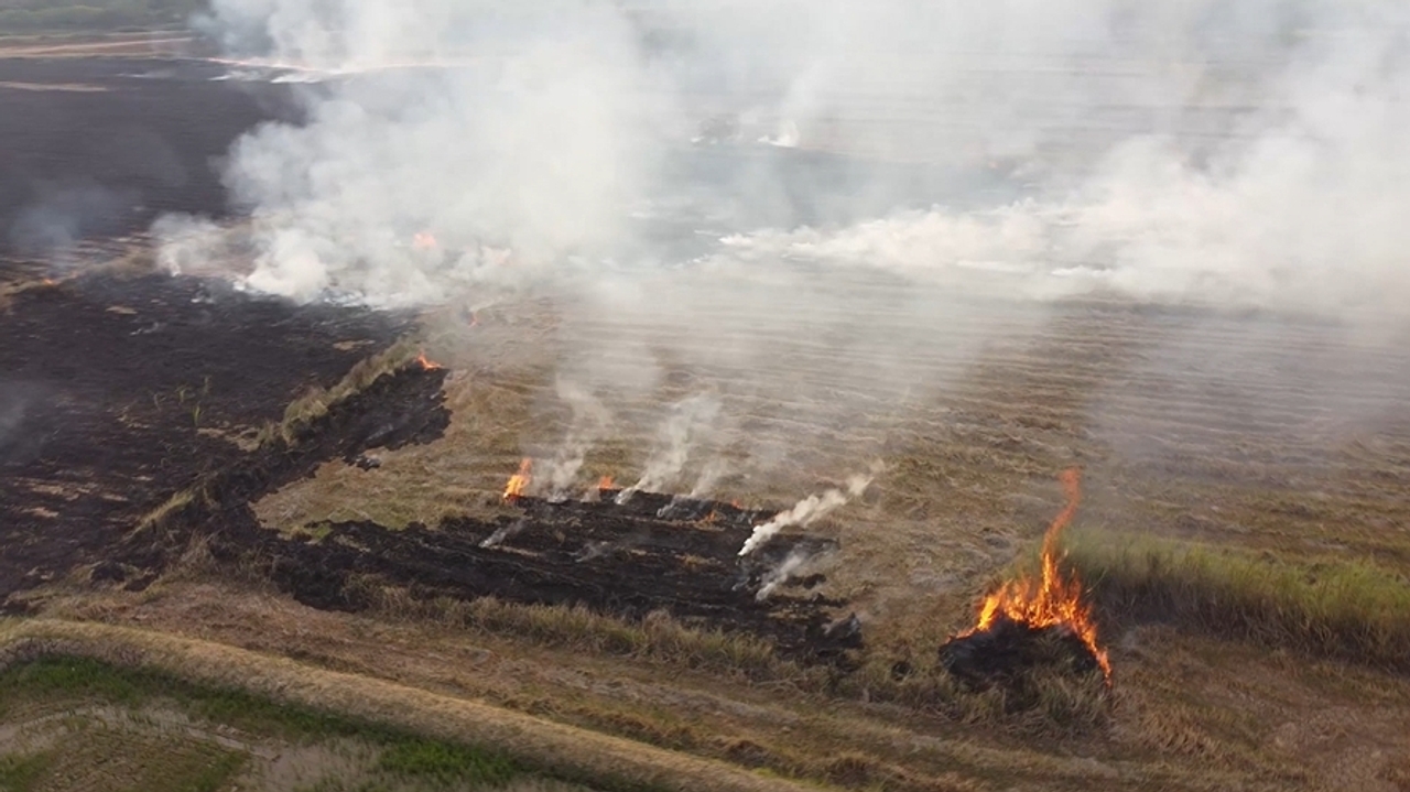 อ่วมทั่วไทย ค่าฝุ่น PM 2.5 พุ่ง ชาวไร่หลายจังหวัดยังลอบจุดไฟเผาอ้อย-ซังข้าว
