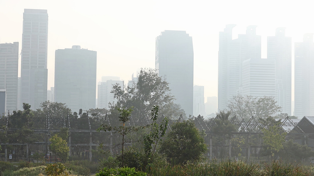 คนกรุงระวัง 29 ม.ค. ฝุ่นพุ่ง อากาศแย่อีก ไล่จับ-เอาผิดเผาป่าไร่อ้อย 10 จังหวัดอันตราย