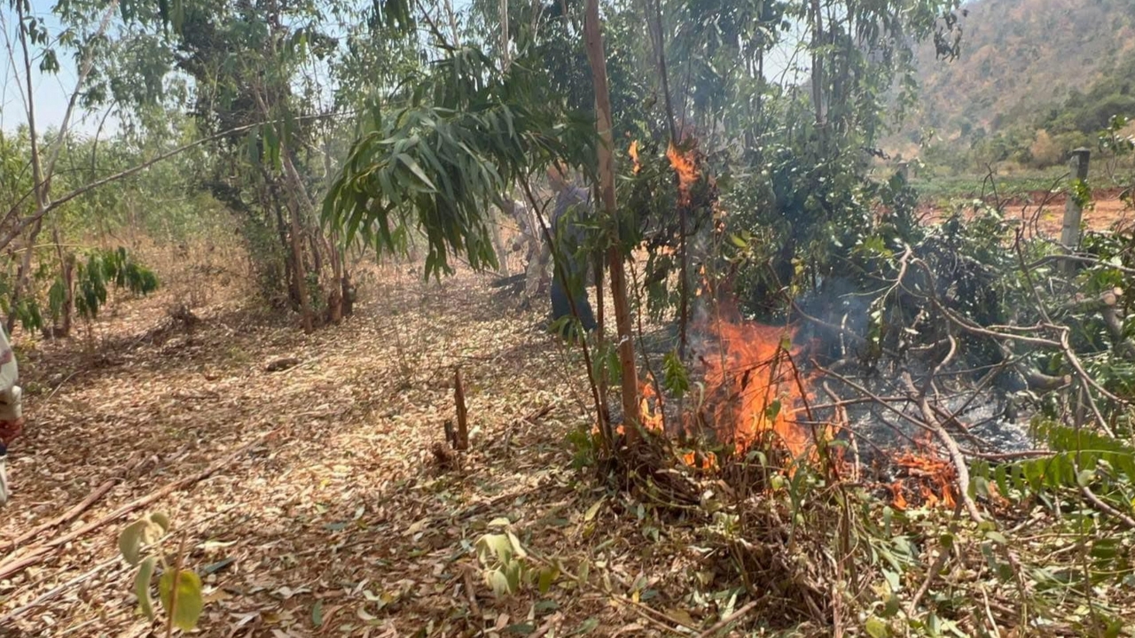 จ่ายจริง ผู้ว่าฯ กาญจน์มอบเงินรางวัลนำจับ 50,000 บาท คนแจ้งเบาะแสลอบเผาป่า