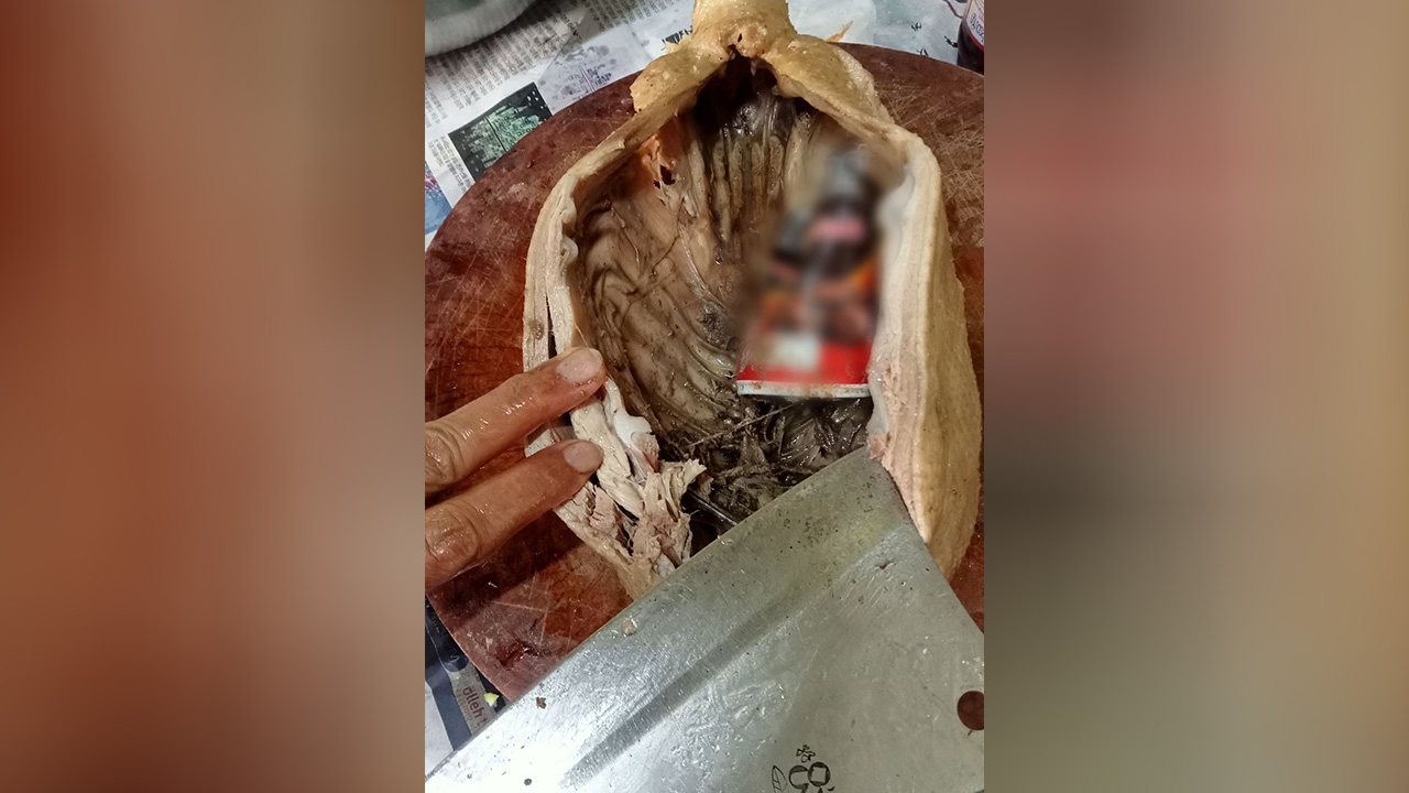 หญิงสุดงง เล่านาทีสับมีดลงเป็ดไหว้เจ้า เสียงดังแกร๊ก เปิดมาเจอกระป๋องกาแฟยัดไส้