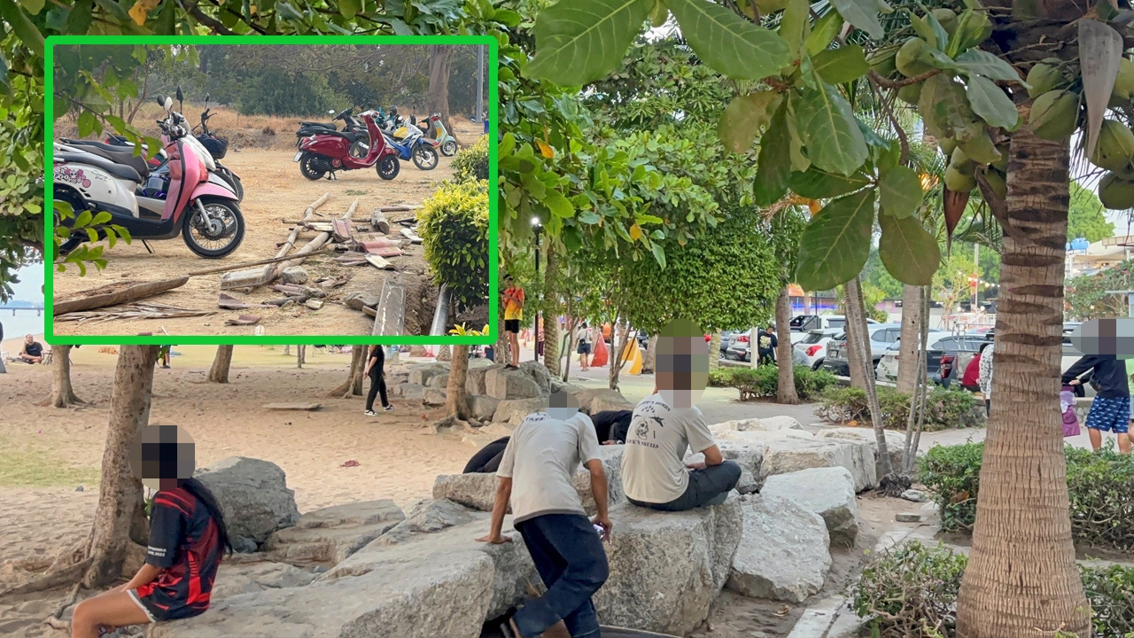 ล่าเหรียญป่วน