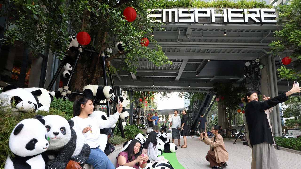 กองทัพแพนด้า