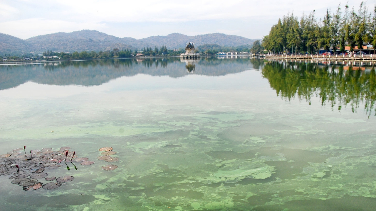 ตรวจสอบ "อ่างเก็บน้ำเขาเต่า" หลังเกิดแพลงก์ตอนบลูม จนน้ำสีเขียวขุ่น