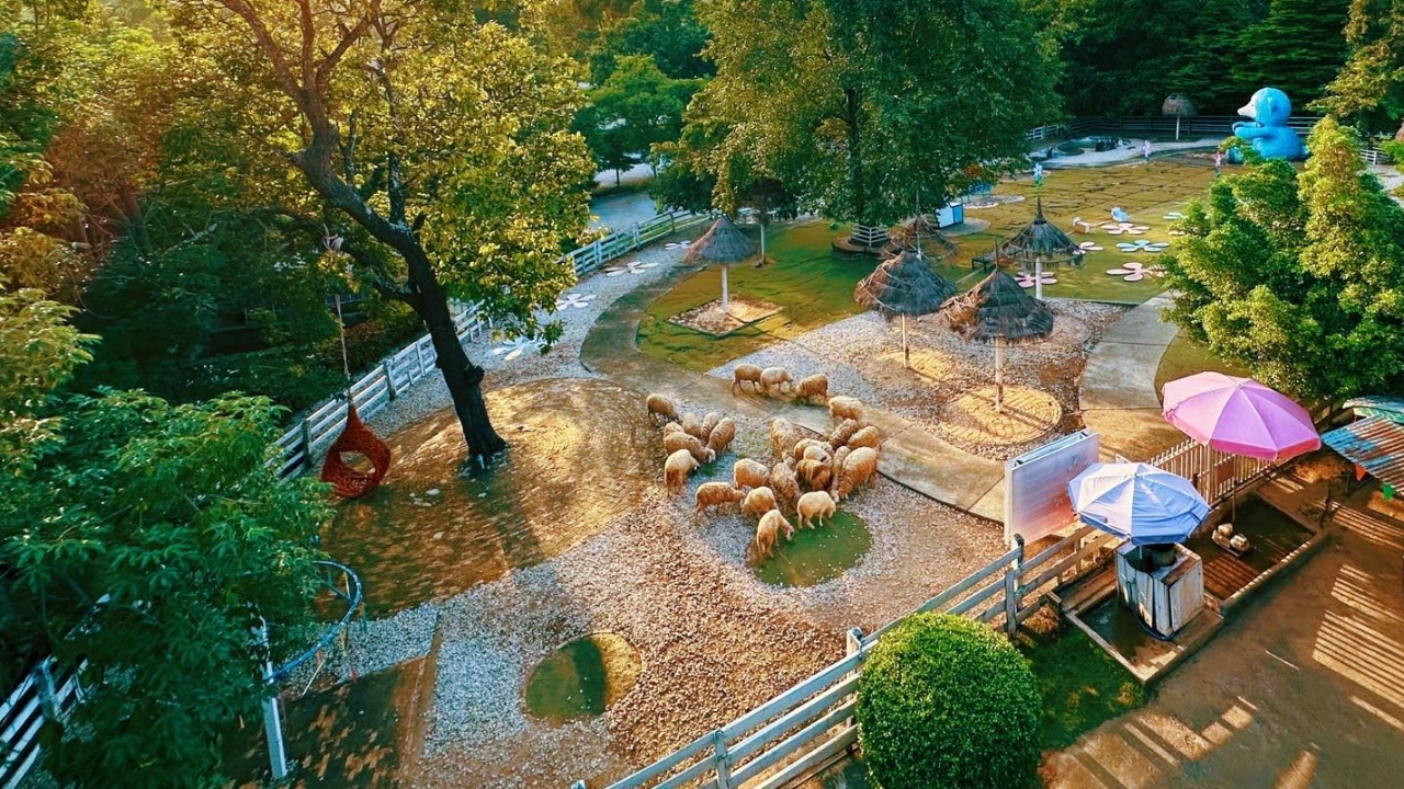 ใจหาย "ฟาร์มแกะดัง" ชวนสร้างความทรงจำสุดท้ายก่อนปิดตัว หลังเปิดนาน 13 ปี