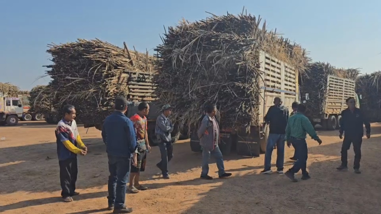 ชาวไร่รอความหวัง ให้เปิดหีบอ้อย ถ้าเจรจาไม่สำเร็จ พร้อมลงถนน