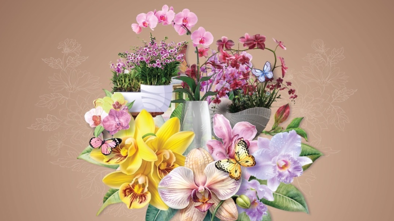 เชิญเที่ยวงาน "Beyond & Journey of Siam Orchids" 16-19 ม.ค. 68