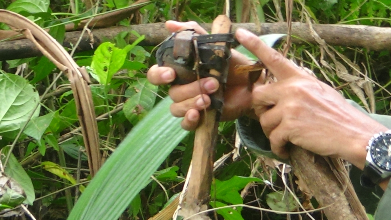 หนุ่มฉีดพ่นยาต้นทุเรียน โชคดีสังเกตเห็นเชือก พลาดอีกก้าวเดียวเหยียบระเบิด