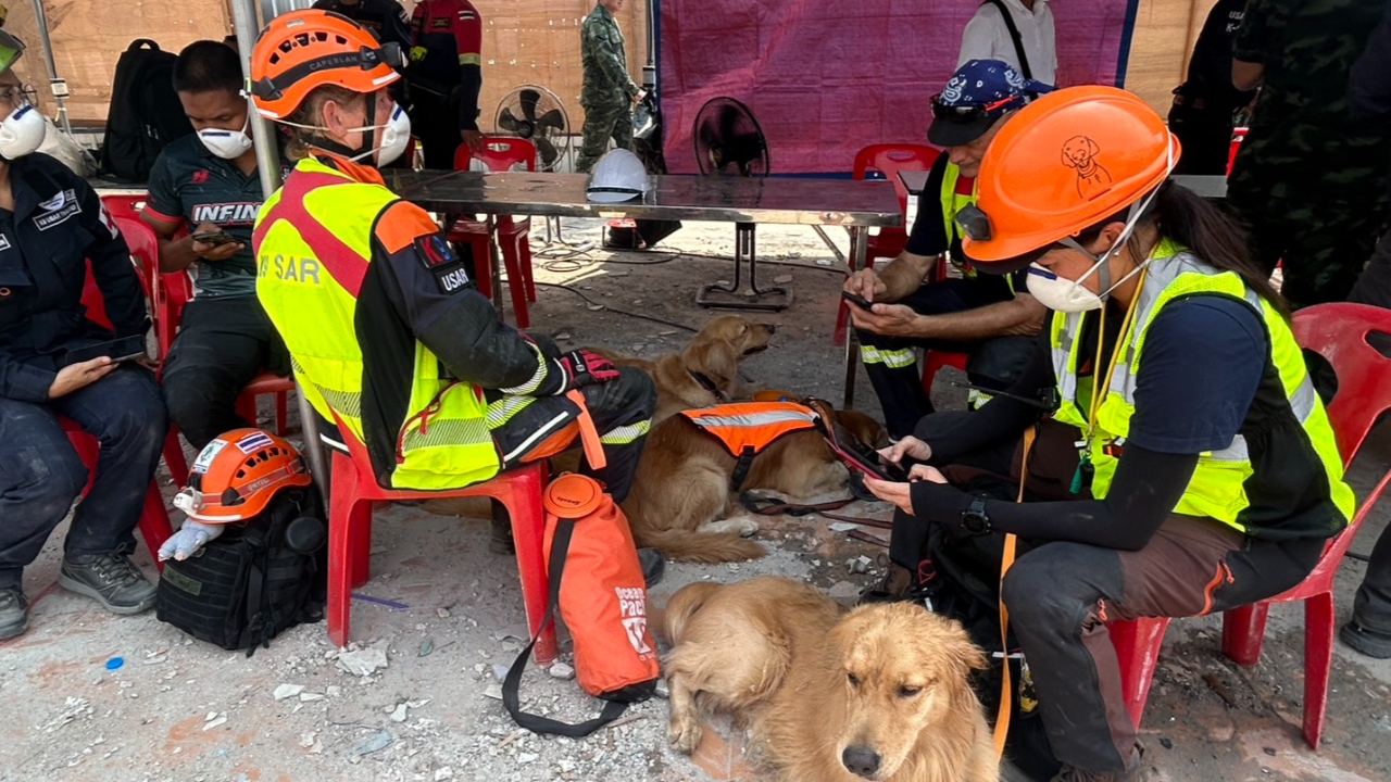 ผบ.ทบ. สั่งนำสุนัข K-9 -ทหารช่าง เข้าช่วยค้นหาผู้ประสบเหตุตึก สตง. ถล่ม