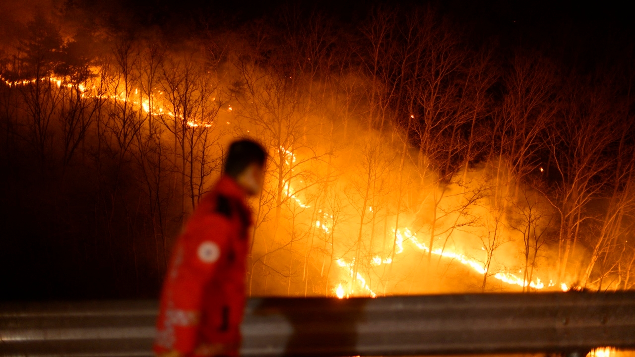 เปิดสาเหตุ เกาหลีใต้ไฟป่ารุนแรงทุบสถิติตลอดกาล คร่าแล้ว 27 ศพ