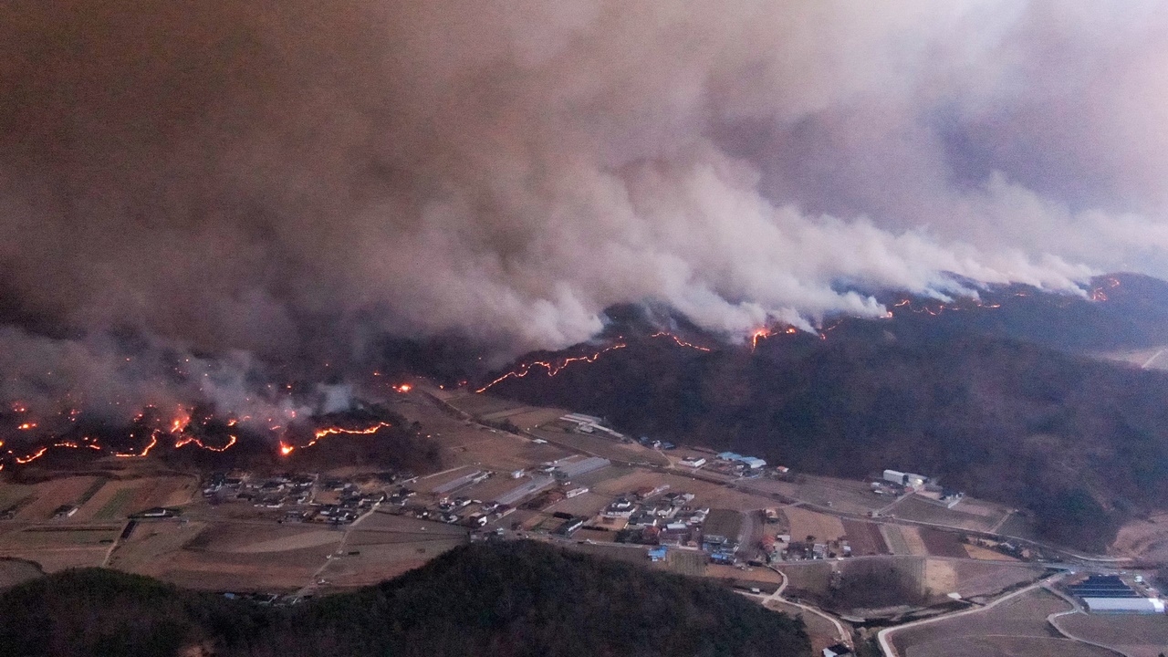 เกาหลีใต้เผชิญไฟป่าครั้งเลวร้ายที่สุด ดับแล้ว 24 ศพ ต้องอพยพอีกนับหมื่น