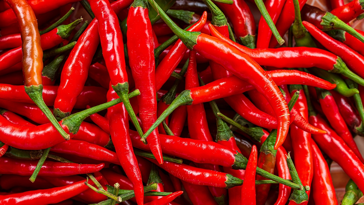 ยาฆ่าแมลงตกค้างในพริกแดงสด