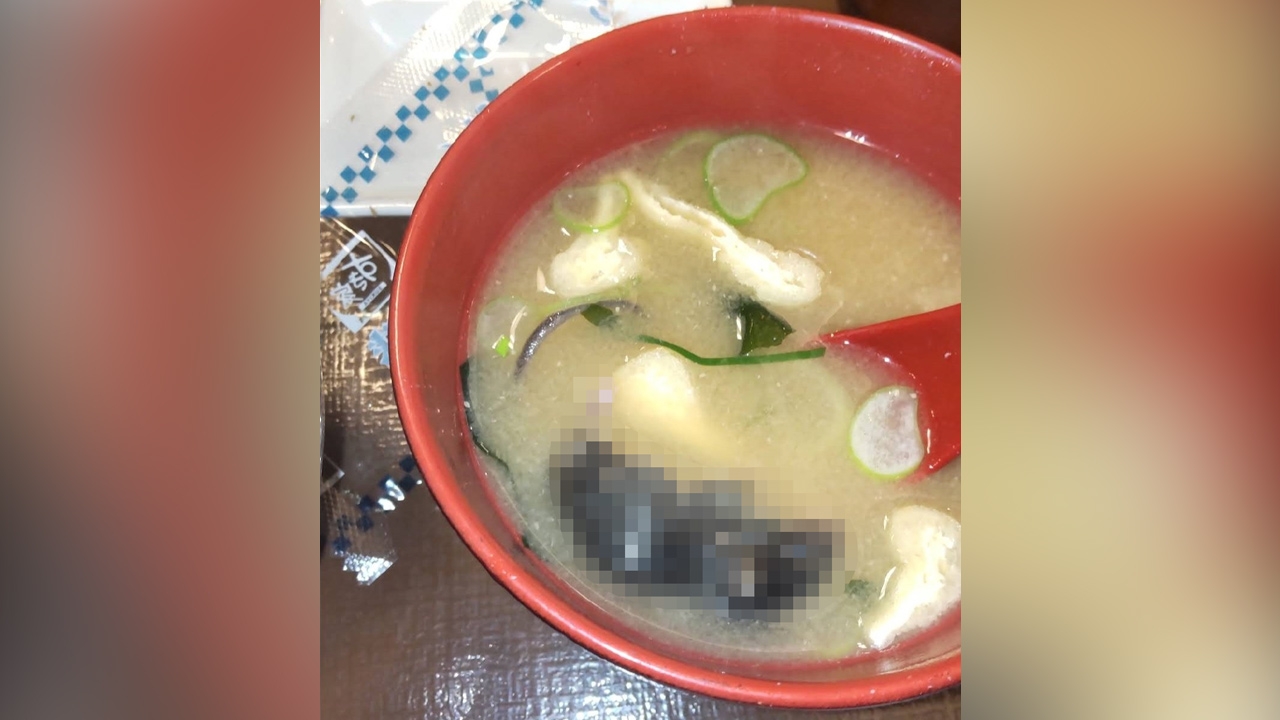 สุดช็อก ร้านข้าวหน้าเนื้อชื่อดังในญี่ปุ่นยอมรับผิด มีซากหนูตายในชามซุปมิโซะที่เสิร์ฟให้ลูกค้า