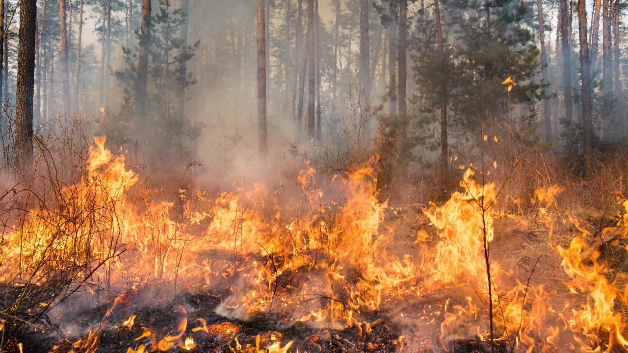 "เชียงใหม่" วิกฤติ ออกประกาศเขตพื้นที่ประสบภัยพิบัติไฟป่า 2 อำเภอ