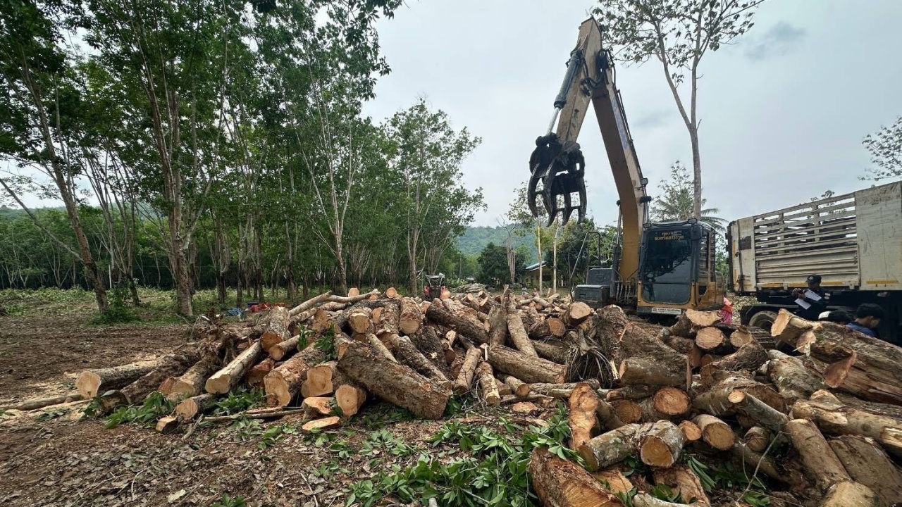 จับมอดไม้ลอบตัดต้นยาง ในเขตอุทยานฯ ป่าพุน้ำเค็ม ยึดของกลางเพียบ