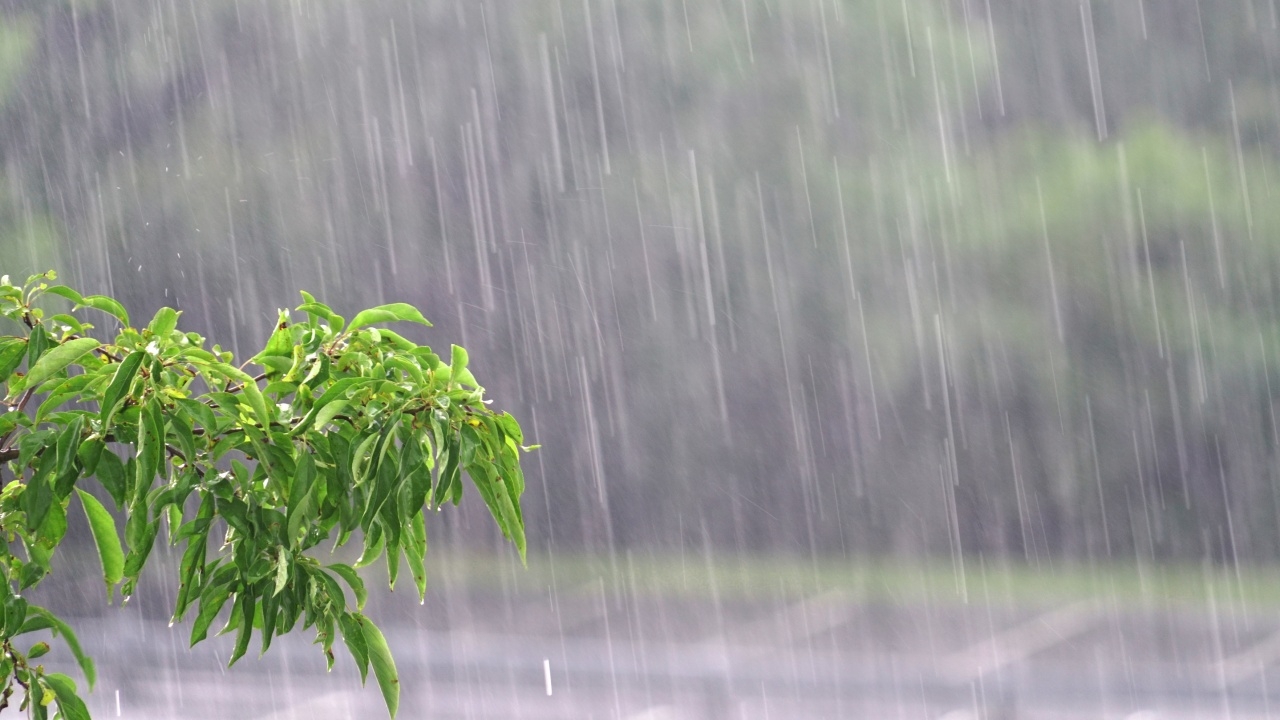 เตือน "อากาศแปรปรวน" ฉบับ 3 ฝนตกหนัก-อุณหภูมิลดลง เช็กจังหวัดที่ได้รับผลกระทบ