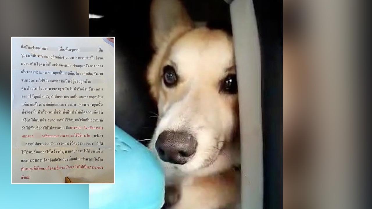 สาวเปิดใจ หลังได้รับจดหมายขู่ฆ่า "หมา" ขอยอมจบปัญหา ย้ายไปเลี้ยงที่อื่นแล้ว